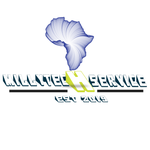 Millytechservice Logo